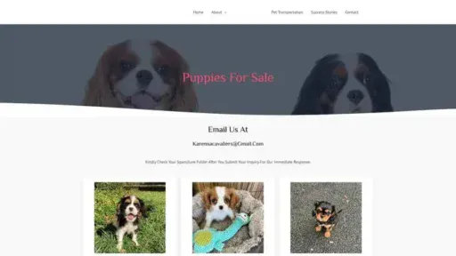 Screenshot of