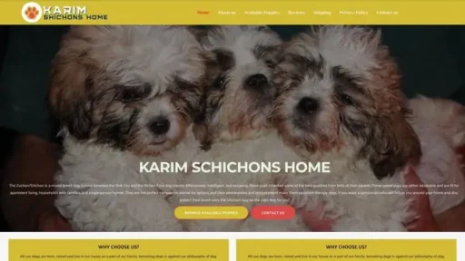 Screenshot of