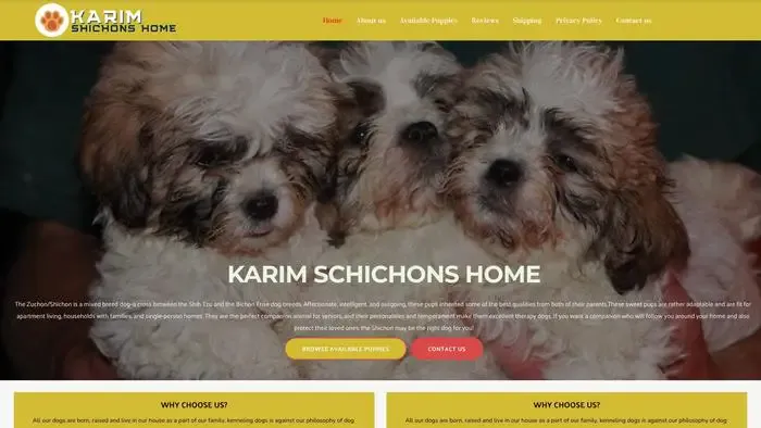 Screenshot of