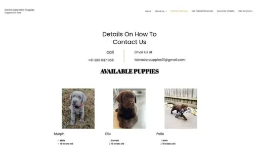 Screenshot of