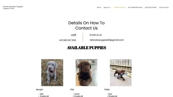 Screenshot of