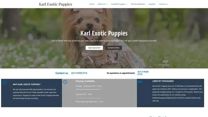 Screenshot of