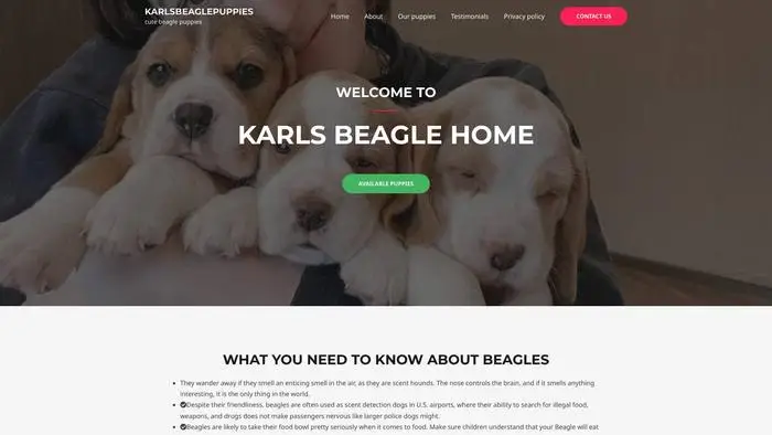 Screenshot of