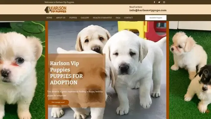 Screenshot of