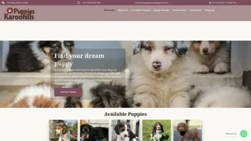 Screenshot of