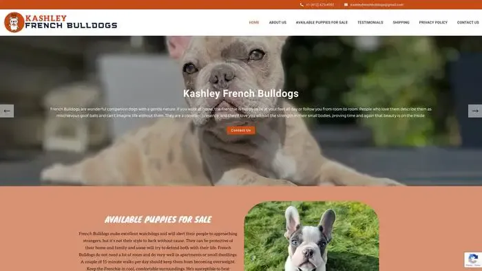 Screenshot of