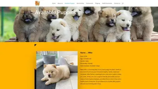 Screenshot of