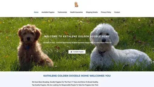 Screenshot of
