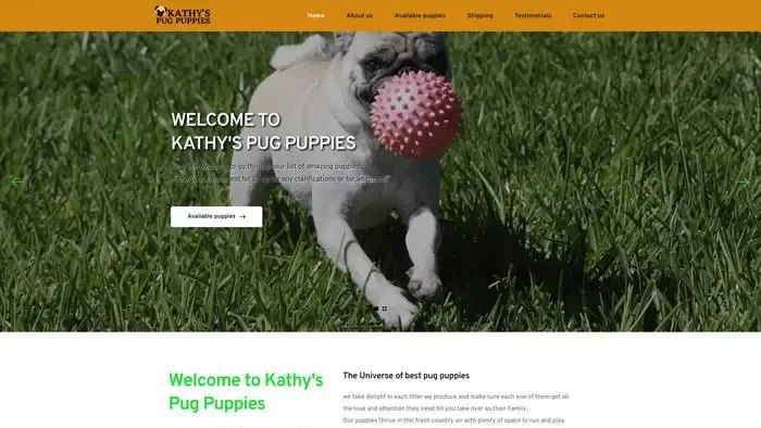 Screenshot of