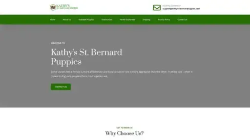 Screenshot of