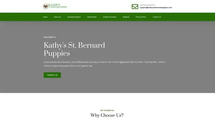 Screenshot of