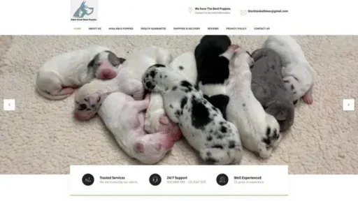 Screenshot of