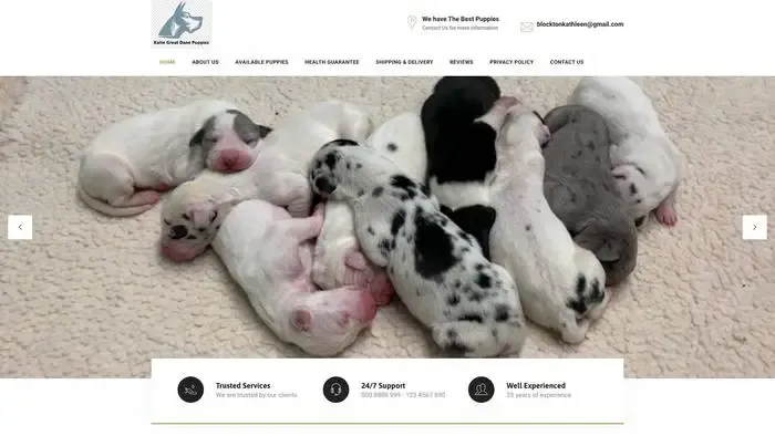 Screenshot of