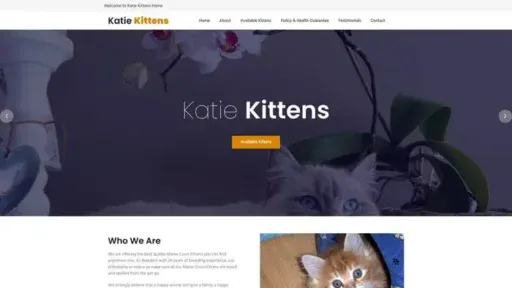 Screenshot of