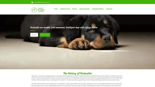 Screenshot of