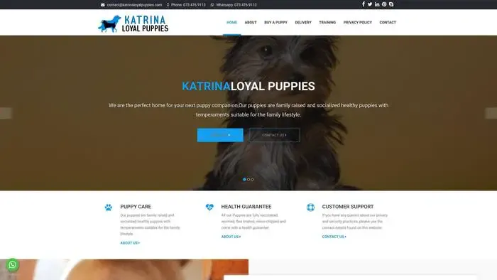 Screenshot of