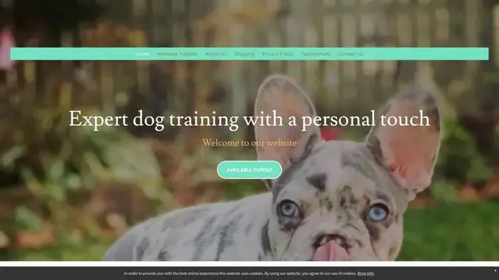 Screenshot of