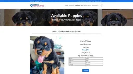Screenshot of