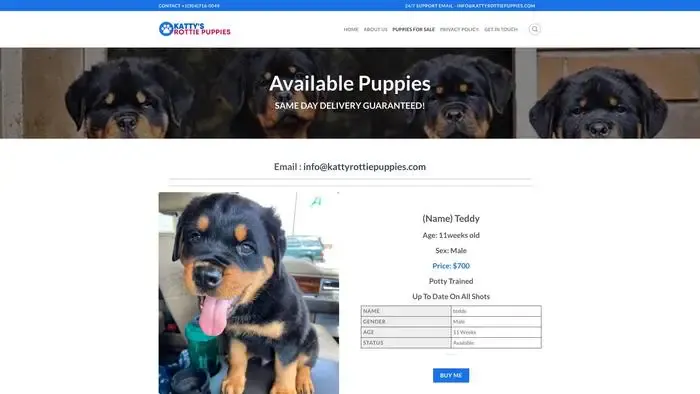 Screenshot of