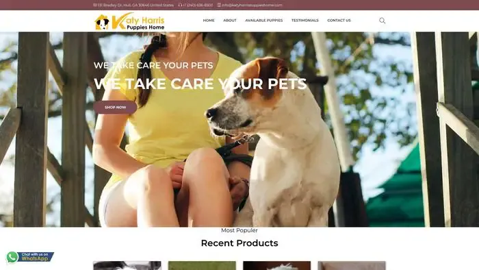 Screenshot of