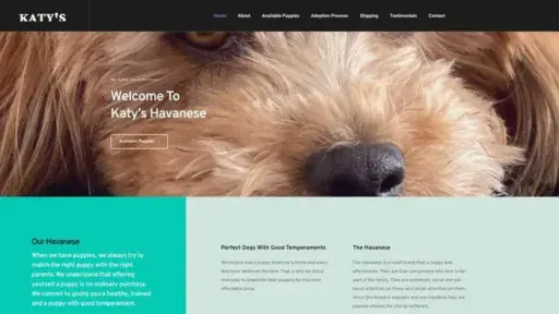 Screenshot of