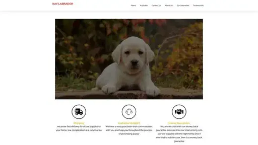 Screenshot of