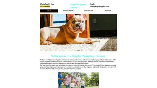 Screenshot of