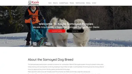 Screenshot of