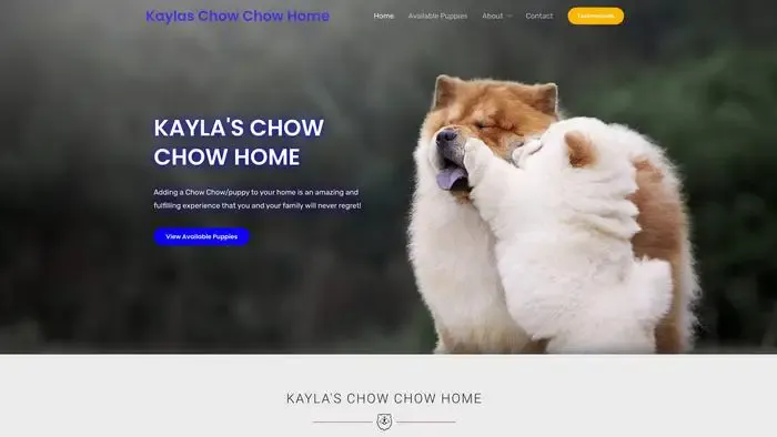 Screenshot of