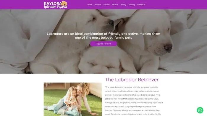 Screenshot of