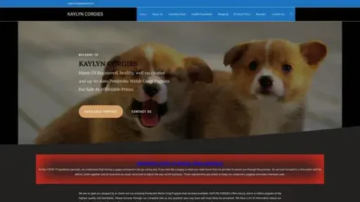 Screenshot of