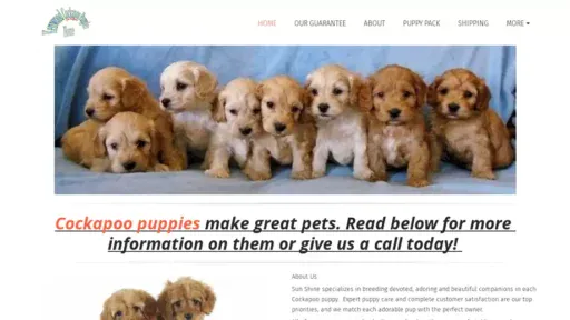 Screenshot of|