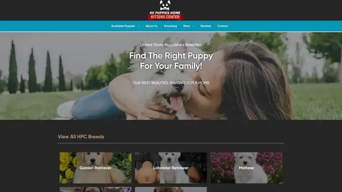 Screenshot of