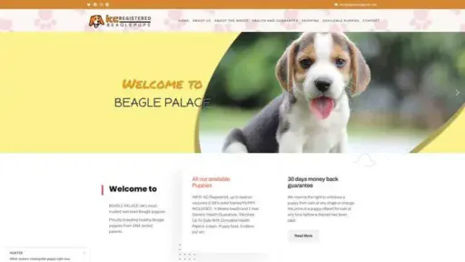 Screenshot of