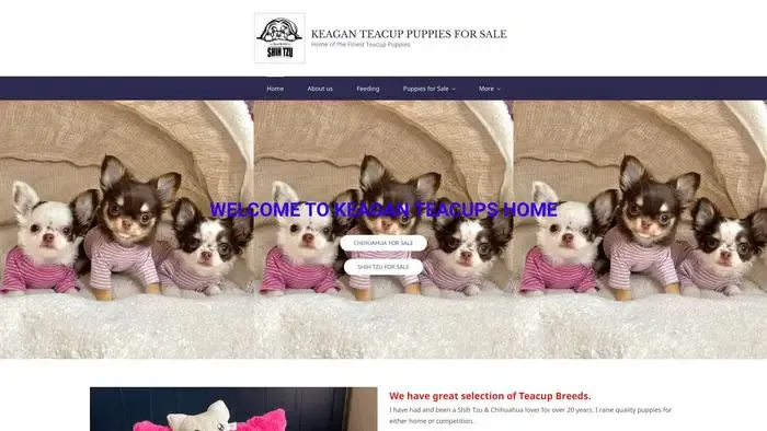 Screenshot of