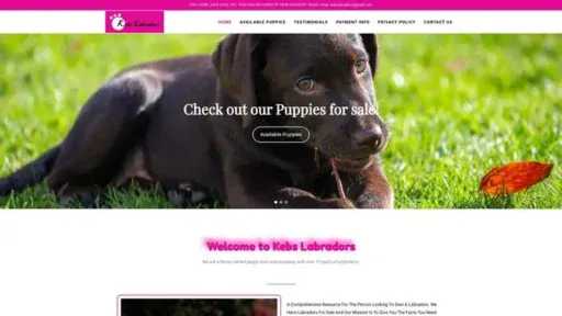 Screenshot of
