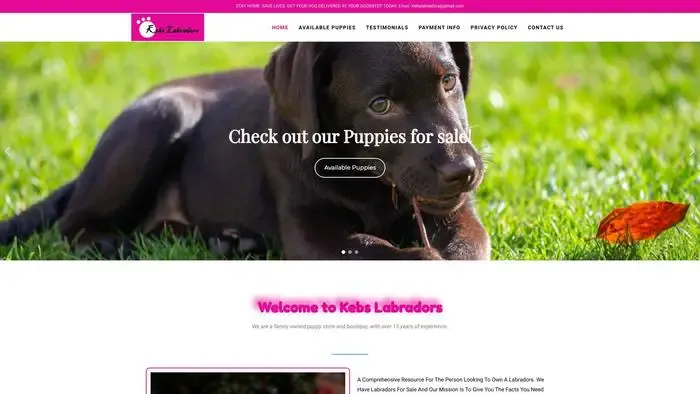Screenshot of
