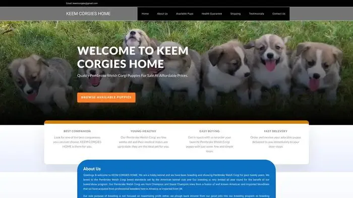 Screenshot of