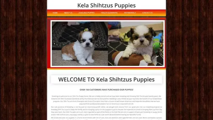 Screenshot of
