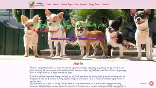 Screenshot of