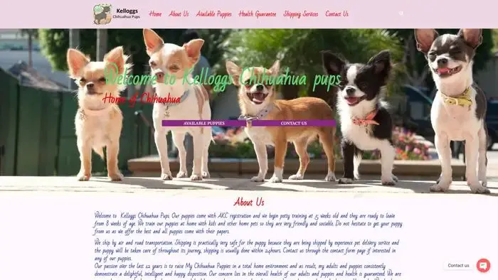 Screenshot of