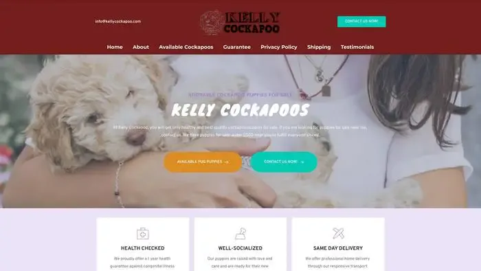 Screenshot of