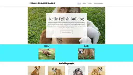 Screenshot of