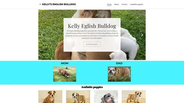 Screenshot of