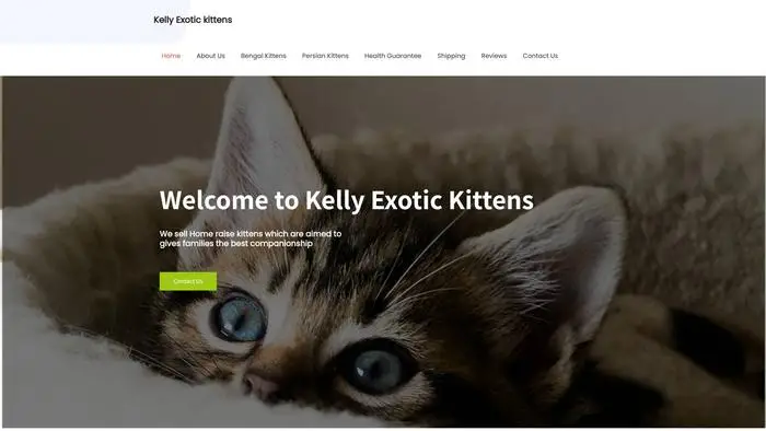 Screenshot of