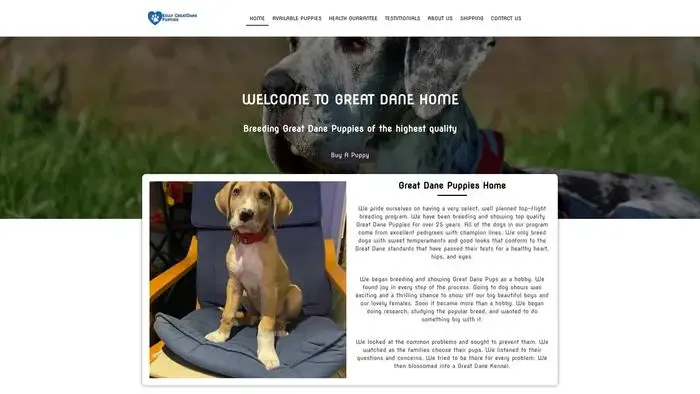 Screenshot of
