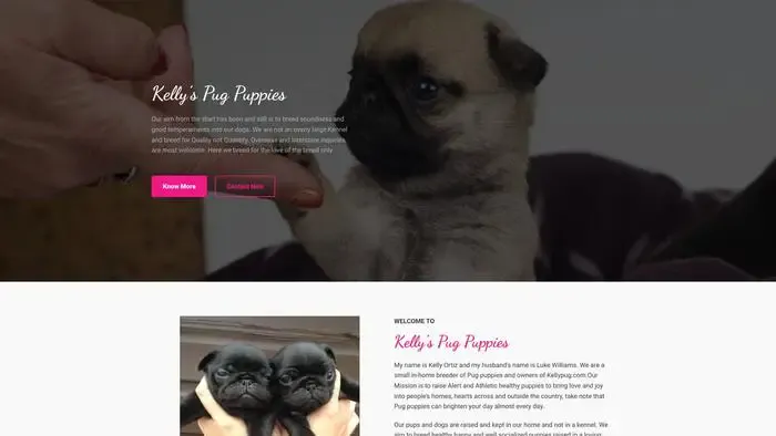 Screenshot of