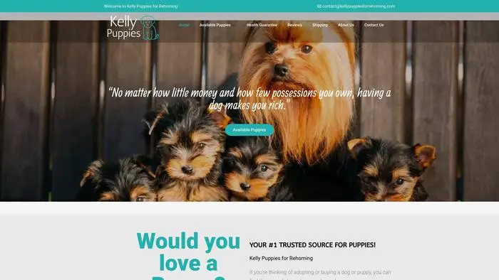 Screenshot of