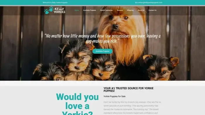 Screenshot of