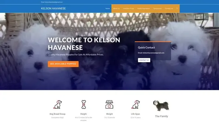 Screenshot of